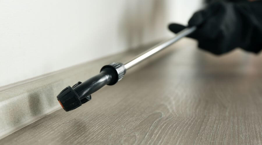 Professional pest control services in Argyle